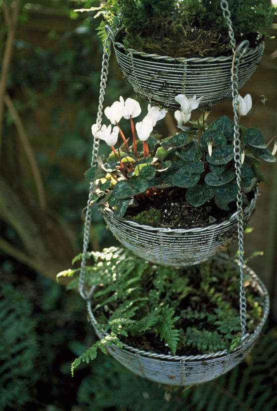 无人,竖图,室外,白天,留白,美景,植物,叶子,花盆,吊挂,悬挂,金属,篮子,景观,挂,花,花瓣,绿色,白色,自然,容器,景色,摄影,多样,蕨类,金属丝,自然风光,多层蛋糕,彩图,对焦