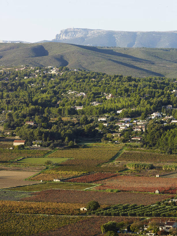 无人,家,果园,竖图,俯视,室外,白天,旅游,度假,美景,山,山脉,树林,田园,植物,法国,欧洲,阴影,光线,影子,房屋,屋子,景观,山峰,山峦,娱乐,楼房,葡萄园,架子,住宅,树,树木,蓝色,绿色,蓝天,天空,阳光,自然,庄园,群山,天,享受,休闲,景色,放松,生长,晴朗,成长,支撑,固定,西欧,法兰西,自然风光,葡萄架,瓦尔省,万里无云,法兰西共和国,法兰西第五共和国,普罗旺斯.阿尔卑斯.蓝色海岸,普罗旺斯.阿尔卑斯.蓝色海岸大区,晴空,晴空万里,彩图,高角度拍摄,房子,土伦区,拉卡迪埃达聚,邦多