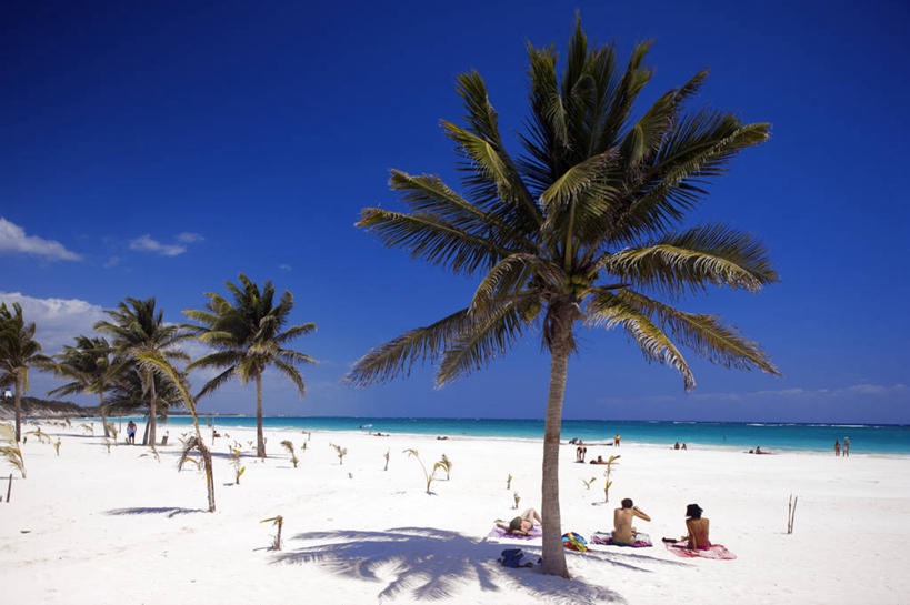 西方人,坐,横图,室外,白天,正面,泳装,比基尼,旅游,度假,日光浴,海浪,海洋,美景,沙滩,植物,棕榈树,叶子,墨西哥,欧洲,欧洲人,护肤,阴影,光线,沙子,影子,海岸,景观,浪花,水平线,云,云朵,辽阔,绿叶,海平线,沙地,许多人,云彩,娱乐,裸露,树,树木,蓝色,绿色,白云,蓝天,天空,阳光,自然,海水,天,一群人,保养,享受,休闲,广阔,嫩叶,景色,放松,保健,生长,晴朗,成长,一望无际,北美,北美洲,自然风光,美洲,裸,海景,棕榈叶,尤卡坦半岛,尤卡坦州,金塔纳罗奥州,北亚美利加洲,亚美利加洲,墨西哥合众国,仙人掌王国,加敦半岛,金塔纳罗奥,犹加敦,无边无际,一马平川,年轻女性,女人,女性,白种人,叶,叶片,大海,风浪,海,海水的波动,海滩,近岸浪,涌浪,晴空,棕树,棕榈,坐着,彩图,全身,三点式,泳衣,美黑,水天相接,水天一线