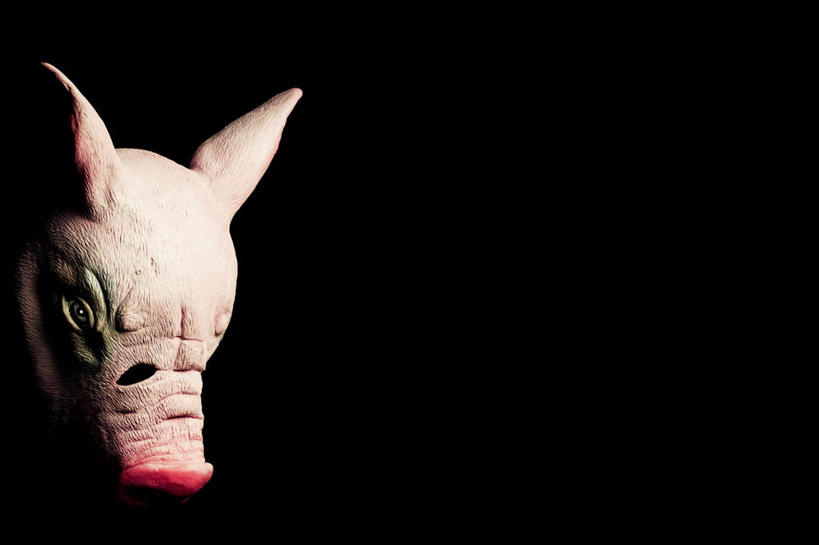 无人,横图,特写,留白,猪,意大利,黑色背景,童年,摄影,创造力,想法,彩图,影棚拍摄