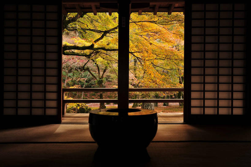 无人,横图,室内,白天,美景,门,建筑,叶子,日本,日本文化,木制,柱子,景观,自然,景色,摄影,自然风光,福冈,秋天,彩图,传统文化