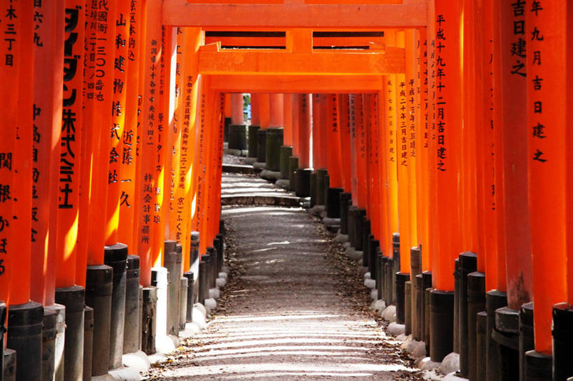 无人,横图,室内,通讯,建筑,京都,日光,日本,亚洲,一排,日本文化,弯曲,整齐,隧道,日文,大门,排列,摄影,京都府,神殿,队列,东亚,本州,本州岛,日本国,近畿地方,近畿,京都市,伏见稻荷大社,伏见区,彩图
