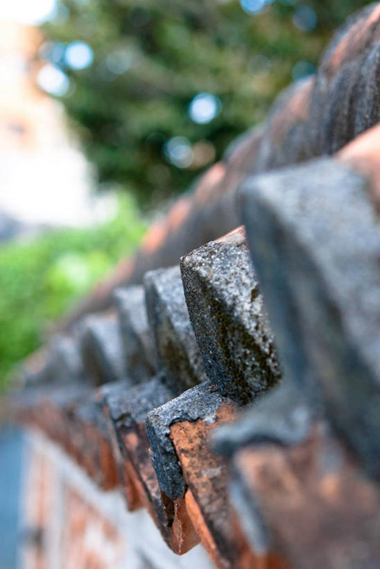 无人,竖图,室外,白天,建筑,日本,一排,整齐,瓷砖,墙,树,排列,摄影,冲绳县,简单,队列,彩图