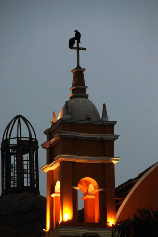 无人,教堂,竖图,室外,建筑,野生动物,秘鲁,拱门,尖顶,首都,天空,黄昏,动物,两只,摄影,宗教,栖息,照亮,基督教,秃鹰,彩图