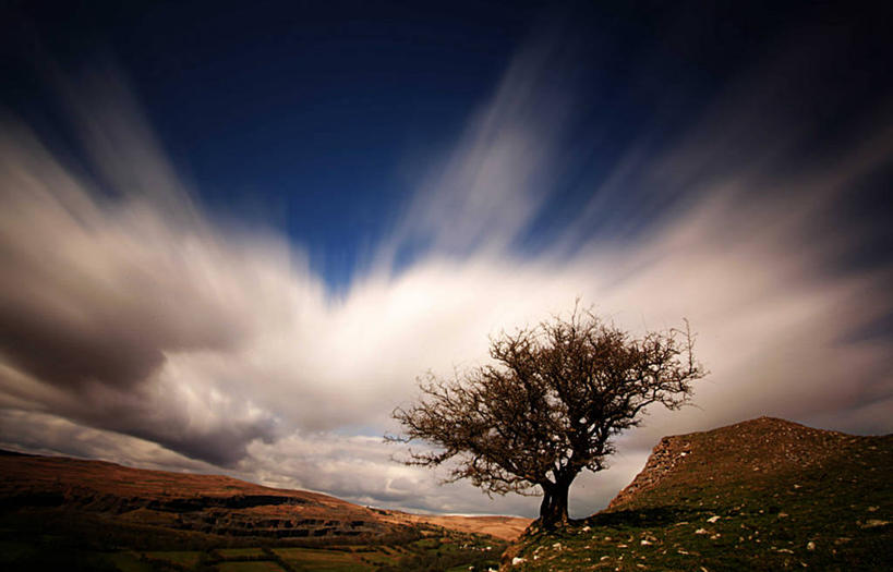 无人,横图,室外,白天,寂寞,英国,云,树,天空,自然,摄影,生长,宁静,彩图