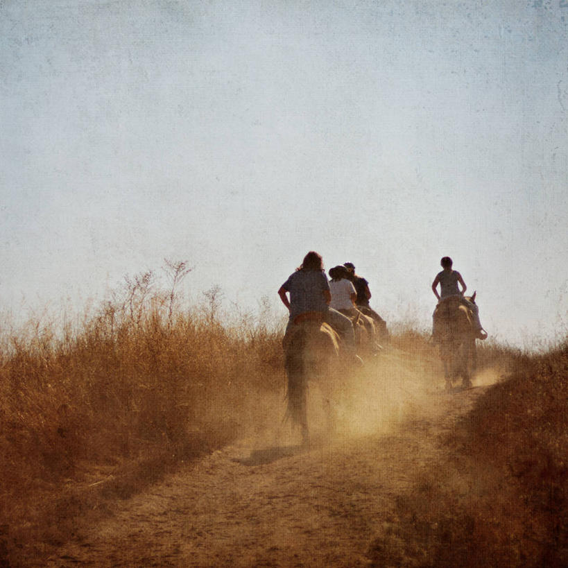 成年人,四个人,方图,室外,白天,马,日光,美国,四只,骑马,草,背面,天空,骑车,摄影,享乐,加利福尼亚,圣何塞,男人,女人,休闲活动,彩图