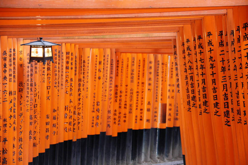 无人,横图,室内,白天,重复,京都,日本,亚洲,一排,日本文化,整齐,隧道,标志,文字,字符,字母,鸟居,标识,灯,排列,橙色,摄影,京都府,神殿,队列,东亚,本州,本州岛,日本国,近畿地方,近畿,伏见稻荷大社,伏见区,彩图