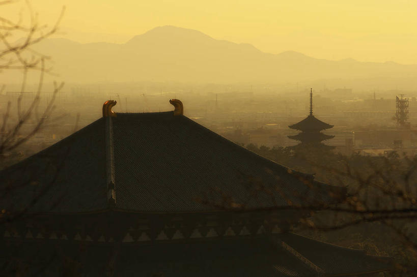 无人,横图,室外,度假,美景,山,城市风光,城市,建筑,奈良县,日本,亚洲,日本文化,屋顶,景观,枝,黎明,历史,娱乐,天空,自然,享受,休闲,景色,放松,摄影,宁静,东亚,本州,本州岛,日本国,近畿地方,奈良,近畿,彩图