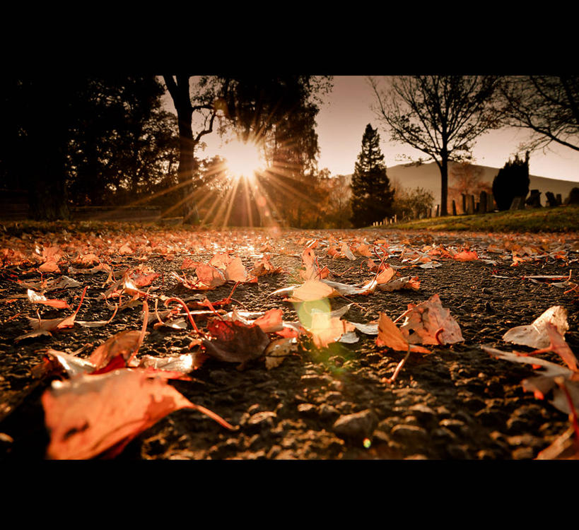 无人,横图,室外,镜头眩光,日出,山,太阳,叶子,日光,英国,小路,树,天空,自然,墓地,摄影,死亡,记忆,改变,彩图,加拉希尔斯