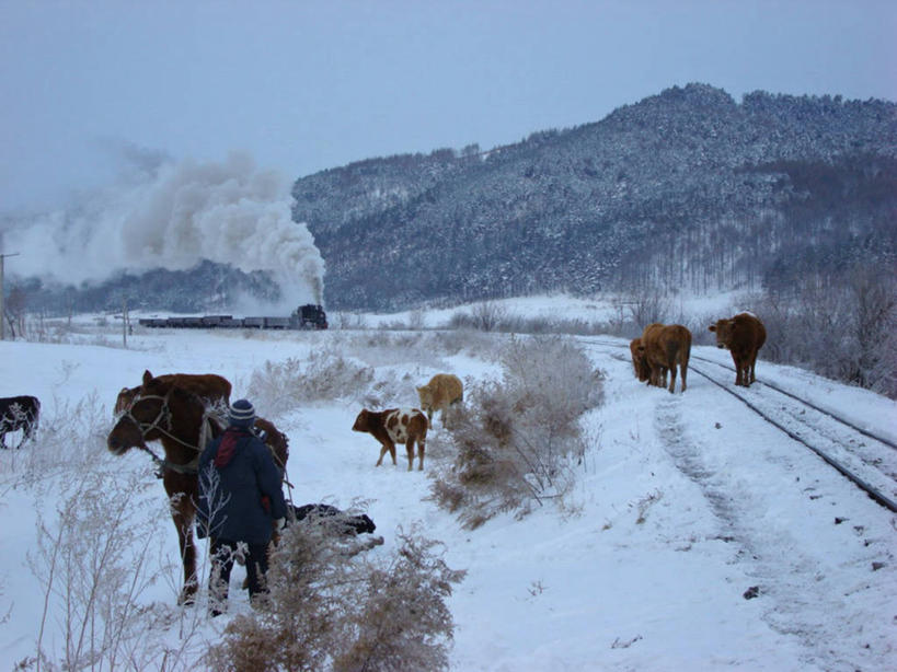 一个人,横图,室外,白天,山,雪,路,铁路,马,冬天,轨道,交通,铁轨,背面,自然,烟,家畜,寒冷,运输,摄影,气象,气候,黑龙江省,万里无云,母牛,蒸汽机车,彩图
