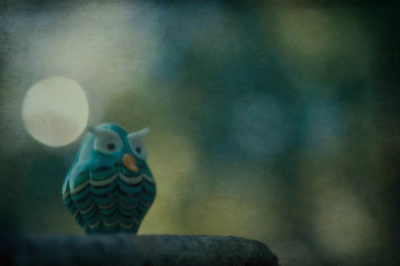 无人,横图,室外,夜晚,猫头鹰,法国,纹路,纹理,月亮,月光,摄影,创造力,普罗旺斯,肌理,想法,土伦,美术工艺,彩图