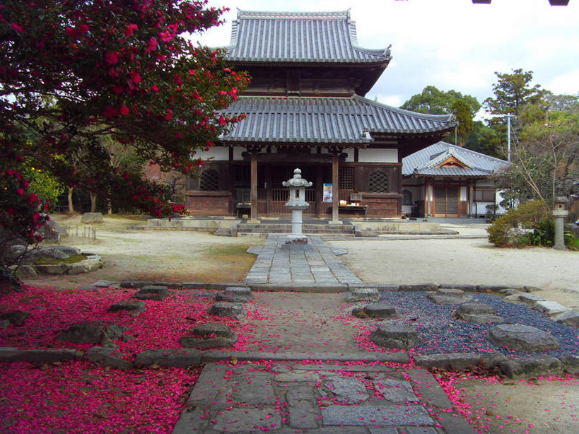 无人,横图,室外,白天,建筑,叶子,日本,日本文化,屋顶,树,天空,摄影,佛教,改变,福冈,秋天,彩图