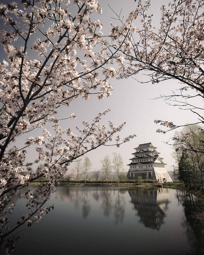无人,竖图,室外,白天,湖,建筑,樱花,北海道,日本,日本文化,反射,树,自然,摄影,宗教,宁静,万里无云,彩图,樱之花
