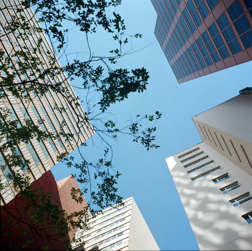 无人,横图,室外,白天,仰视,城市,建筑,摩天大楼,澳大利亚,注视,树,天空,观察,看,办公大楼,摄影,观看,察看,关注,发展,墨尔本,万里无云,澳大拉西亚,维多利亚,低角度拍摄,旅行