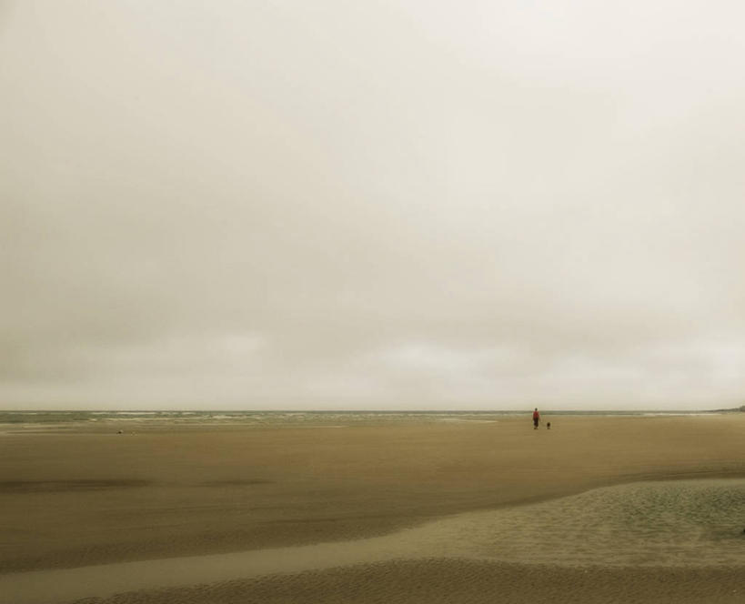 一个人,横图,室外,旅游,度假,美景,沙漠,狗,野生动物,新西兰,朦胧,模糊,地平线,地形,景观,乌云,云,辽阔,地面,黎明,天气,娱乐,自然,动物,享受,休闲,广阔,景色,放松,摄影,宁静,一望无际,环境,自然风光,延伸,澳大拉西亚,天地相交,达尼丁,新西兰南岛,无边无际,一马平川,步行