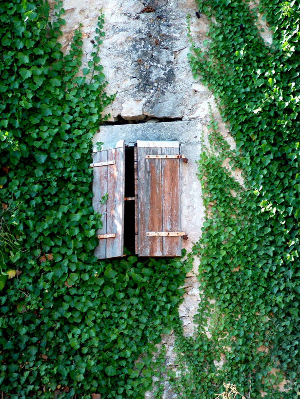 无人,竖图,室外,白天,窗户,建筑,克罗地亚,房屋,历史,摄影,巴尔干,达尔马提亚