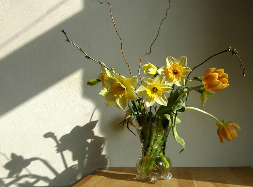 无人,横图,室内,白天,美景,家具,桌子,水仙花,郁金香,花瓶,日光,德国,阴影,景观,慕尼黑,花,自然,插花,春天,景色,摄影,脆弱,清新,自然风光,中欧,巴伐利亚,上巴伐利亚