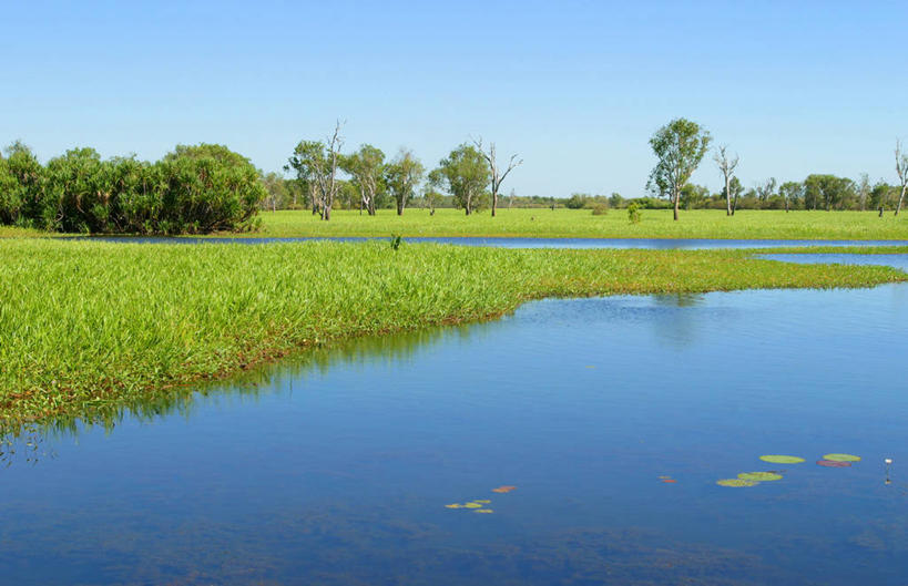 无人,横图,室外,白天,水,澳大利亚,地形,树,自然,春天,摄影,灌木,宁静,清新,大洋洲,澳洲,南方大陆,澳大利亚联邦,灯心草,北领地,彩图