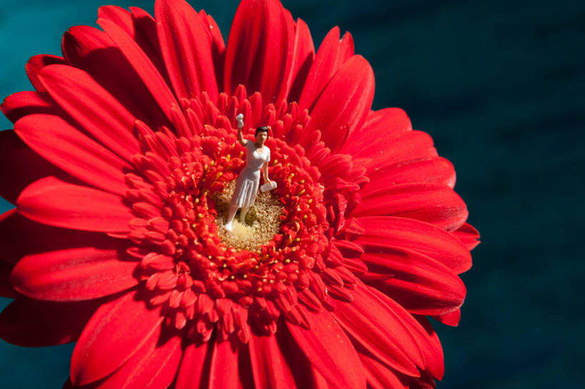 无人,新娘,横图,室外,白天,玩具,雕塑,艺术,装饰,雕刻,雕像,非洲雏菊,工艺品,摄影,生长,纪念,美术,清新,主题,陈列,功能,美学,想法,彩图,影棚拍摄