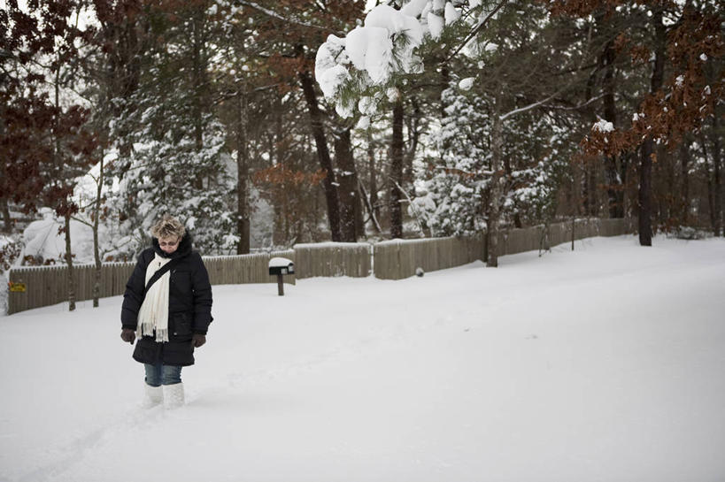 西方人,成年人,中年人,老年人,一个人,公园,站,横图,室外,白天,正面,欧洲,美国,欧洲人,仅一个男性,仅一个人,仅一个中年男性,眼镜,地形,注视,牛仔裤,休闲装,手套,围巾,低头,观察,看,寒冷,摄影,观看,察看,关注,雪堆,纽约州,垂头,汉普顿,男人,男性,中年男性,白种人,步行,彩图,风帽,冬衣