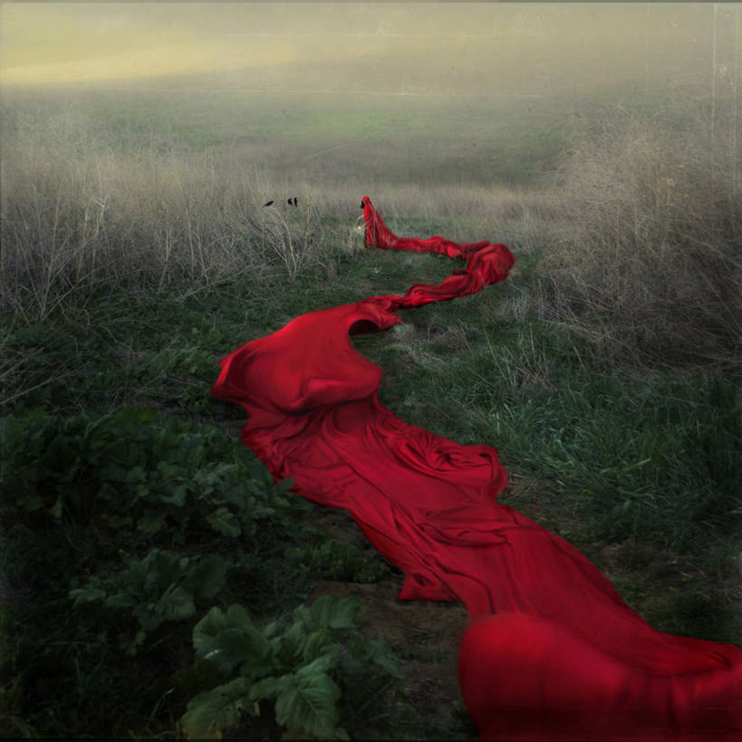 无人,方图,室外,白天,神秘,雾,美国,地形,草,自然,摄影,宁静,怪异,加利福尼亚,彩图,风帽