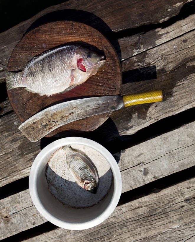 无人,竖图,俯视,室外,白天,渔业,静物,日光,缅甸,亚洲,五个,许多,准备,阴影,锐利,生食,食品,案板,饮食,零售,摄影,块状,死亡,锋利,尖锐,清新,厨房器具,健康食物,结束,海产,彩图,高角度拍摄,鱼市,肉店