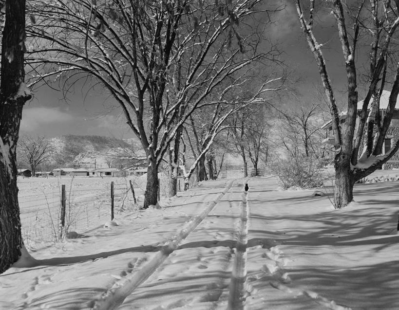 无人,横图,黑白,室外,白天,美景,雪,美国,景观,乡村,冬天,树,自然,景色,摄影,宁静,自然风光,科罗拉多州,轮胎印