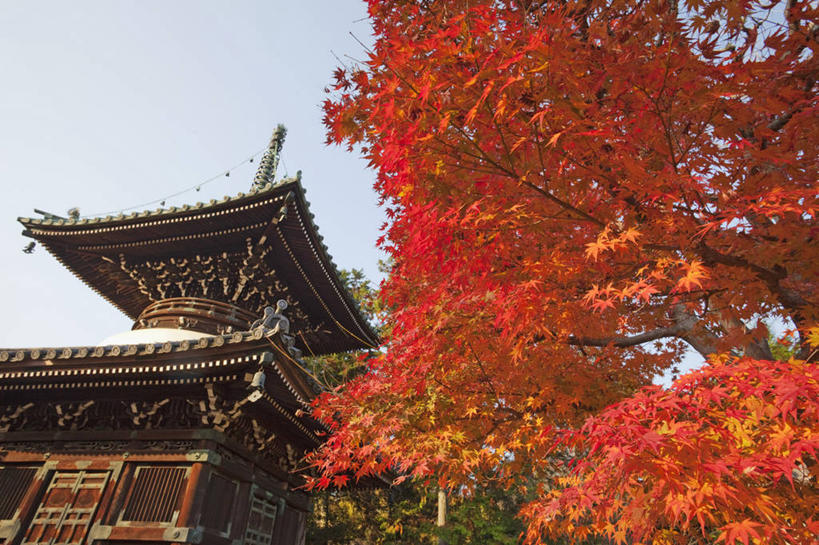 无人,寺庙,横图,室外,白天,仰视,建筑,叶子,日本,亚洲,日本文化,柱子,屋檐,宝塔,树,天空,季节,摄影,宗教,佛教,京都府,宗教建筑,东亚,本州,本州岛,日本国,近畿地方,近畿,灵性,岚山,秋天,彩图,低角度拍摄