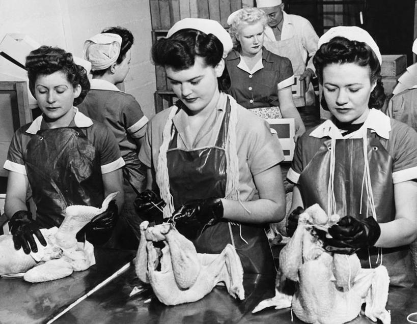 西方人,成年人,中年人,老年人,人群,工厂,横图,黑白,室内,工作服,制服,烹饪,安全,欧洲,美国,欧洲人,准备,包装,围裙,料理,食品,防护,北,菜肴,美食,饮食,食物,饮料,工人,动物,手套,职业,工业,摄影,佳肴,保护,死亡,专心,北美,保险,防护服,食品加工厂,合伙,保全,周全,安稳,安定,防护手套,殒命,灭亡,工作制服,平安,老年女性,男人,年轻女性,女人,中年男性,中年女性,白种人,年轻人,员工,清洗,半身,工作套服,匠人,劳动者,体力工