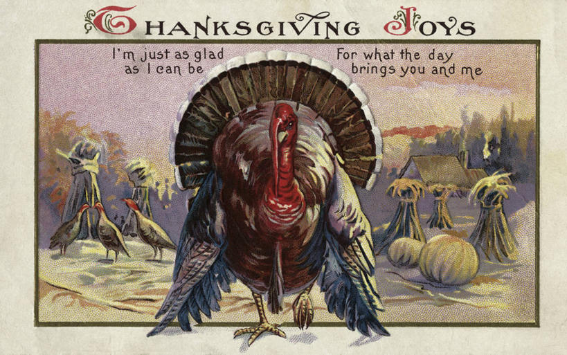 无人,农场,站,横图,插画,室外,正面,旅游,度假,数码,科技,美景,野生动物,南瓜,四只,阴影,庆祝,网络,文字,景观,贺卡,明信片,高光,几何,计算机图形,古典,合成,图画,娱乐,画,自然,草垛,享受,休闲,家畜,景色,放松,牲畜,英文字母,宁静,电脑合成图,数码合成图,合成图,自然风光,漫画,白肉,火鸡肉,感恩节,写实,具体,具象,彩图,传统文化,传统节日