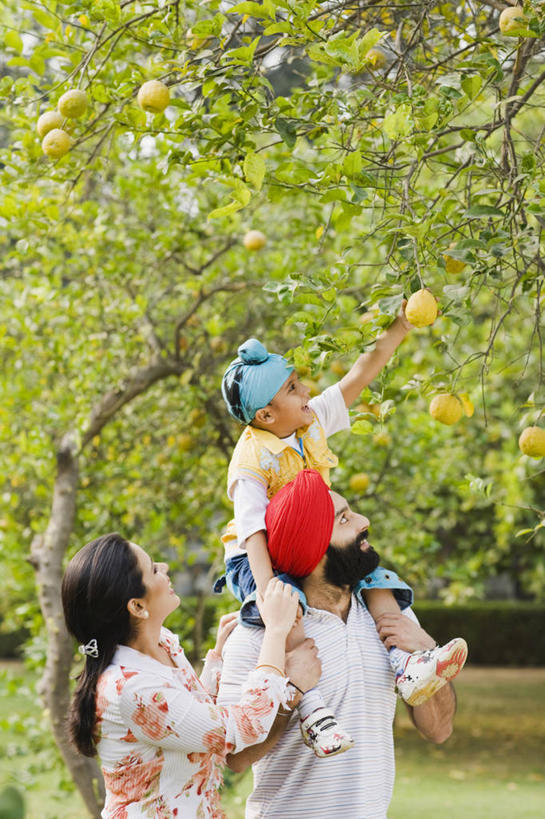 儿童,成年人,背,三个人,家庭,母亲,父亲,儿子,竖图,室外,白天,纯洁,采摘,柠檬,印度,连接,头巾,枝,首都,小孩,自然,背着,温暖,温馨,一家人,柠檬树,可爱,乐趣,童年,童趣,伸手,摄影,生长,和睦,享乐,清新,童真,烂漫,无邪,健康食物,新德里,背负,天真,男孩,男性,年轻男性,年轻女性,女性,印度人,孩子,年轻人,休闲活动,半身,彩图,融洽