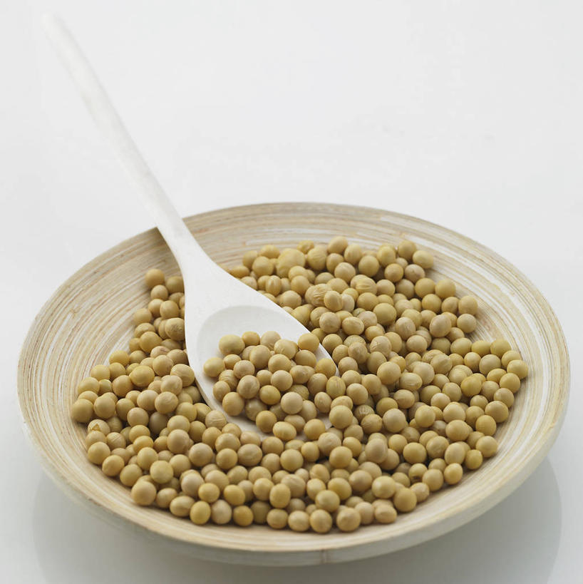 无人,竖图,俯视,室内,特写,白天,白色背景,植物,餐桌,桌子,豆,蔬菜,餐具,一堆,许多,阴影,堆叠,堆积,新鲜,反射,碟子,盘,影子,勺子,豆类,豆子,食品,很多,食物,一个,绿色,白色,自然,盘子,陶制品,调羹,碟,汤匙,摄影,有机食品,绿色食品,影棚,生长,单个,成长,餐台,堆,豆科,彩图,高角度拍摄,影棚拍摄,拍摄