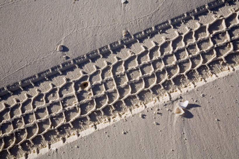 啤酒,成年人,一个人,坐,横图,室外,自由,运动,海洋,澳大利亚,仅一个男性,喝,沙子,地形,历史,鱼类,赤脚,放松,摄影,宁静,太平洋,国家公园,清单,昆士兰州,弗雷泽岛,男人,钓竿,渔线轮,海滩,休闲活动,彩图,钓鱼,旅行