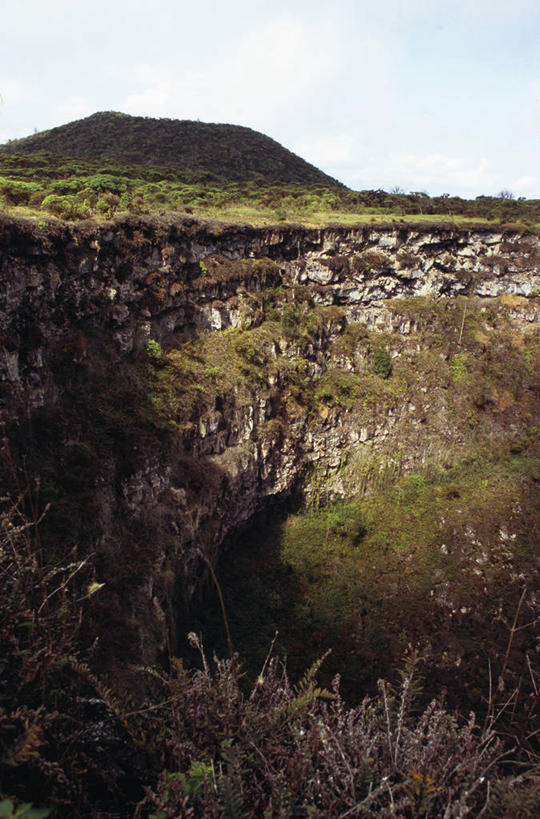 无人,横图,水,野生动物,厄瓜多尔,透明,鱼类,自然,动物,摄影,考古学,魟鱼,加拉帕戈斯群岛,彩图