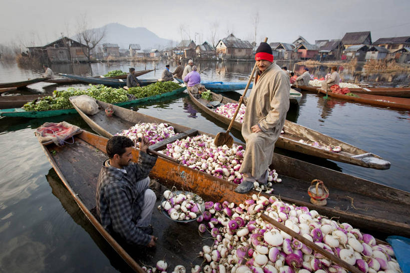 成年人,横图,室外,湖,水,船,蔬菜,印度,亚洲,漂浮,市场,社区,摄影,独木舟,南亚,印度共和国,克什米尔,斯利那加,查谟.克什米尔,查谟.克什米尔邦,男人,彩图,旅行,喀什米尔,达尔湖,皮船,克什米尔地区