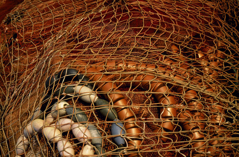 无人,横图,葡萄牙,欧洲,鱼类,红色,摄影,渔网,伊比利亚半岛,彩图,钓鱼