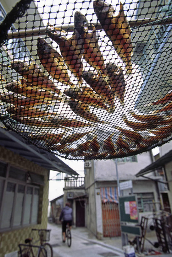 无人,竖图,渔业,城市,香港,亚洲,岛,社区,摄影,肖像,大屿山,烘干,海产,彩图,旅行,传统文化,巷