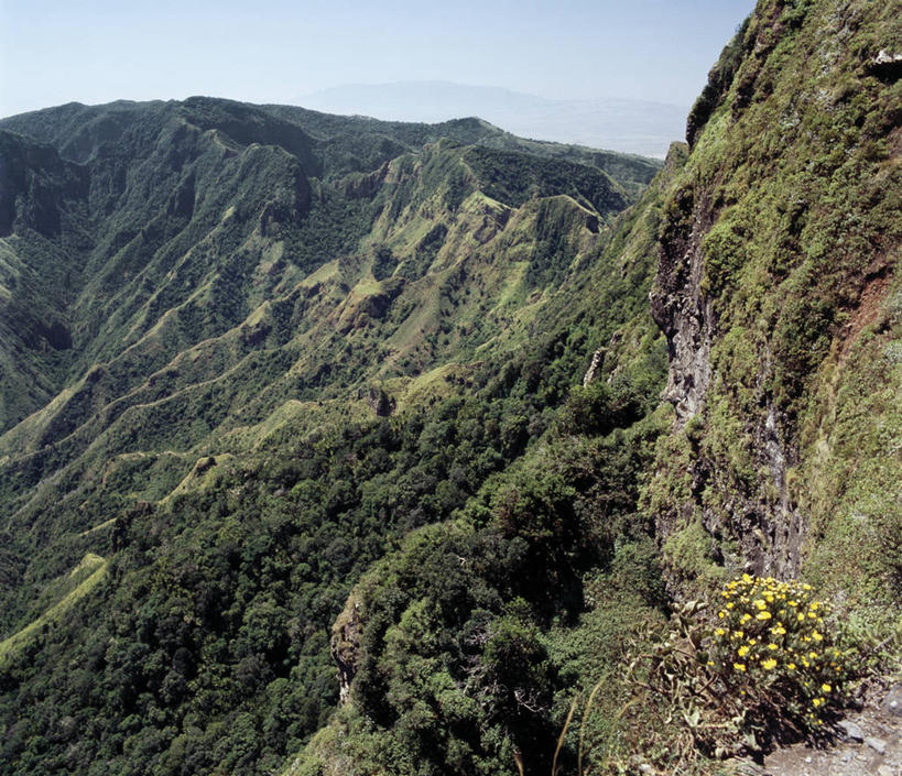 无人,公园,横图,室外,火山,森林,峡谷,植物,非洲,肯尼亚,地形,火山口,野花,山谷,绿色,平原,摄影,山脊,国家公园,阿非利加洲,肯尼亚共和国,地质学,马萨比特国家公园,活火山,彩图,火山学