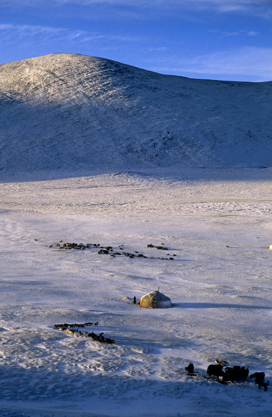 无人,竖图,全景,室外,美景,山,雪,蒙古,亚洲,帐篷,房屋,地形,景观,冬天,风景,自然,景色,寒冷,季节,摄影,住房,自然风光,地貌,蒙古包,彩图,传统文化