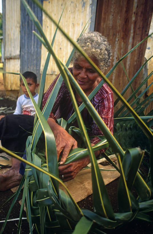 儿童,成年人,竖图,室外,度假,水,叶子,汤加,篮子,织物,热,纺织,风景,动物,摄影,纤维,热带气候,南太平洋,技能,太平洋岛屿,美术工艺,男孩,女人,群岛,彩图,旅行,机织物