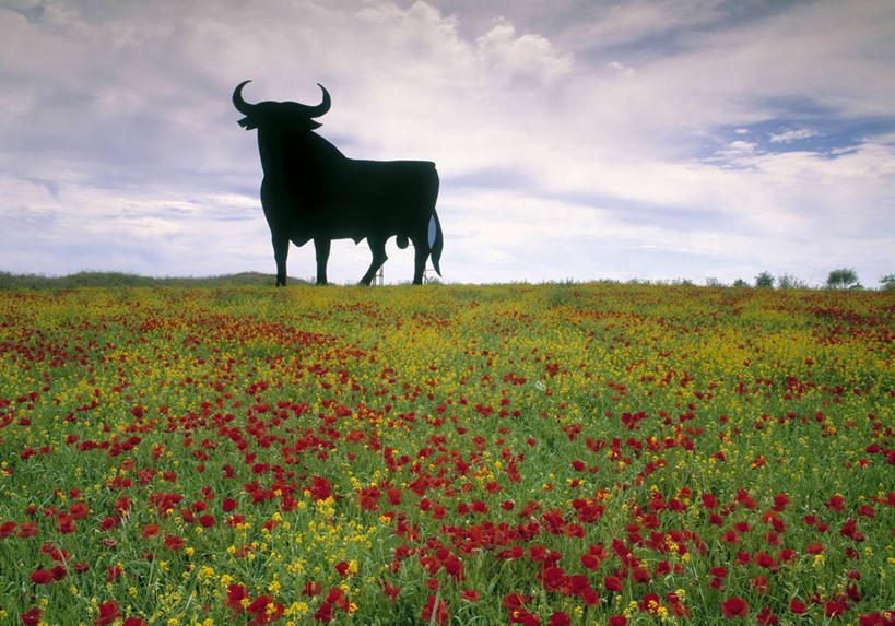 无人,横图,西班牙,欧洲,摄影,安达路西亚,彩图