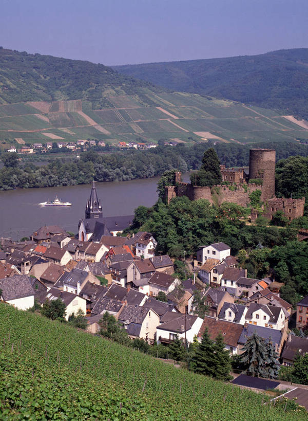 葡萄酒,无人,竖图,室外,河流,德国,欧洲,城堡,乡村,葡萄园,摄影,德国文化,莱茵河,彩图,旅行