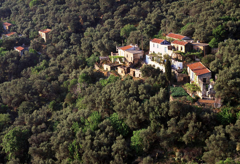 无人,横图,室外,希腊,欧洲,地形,乡村,树,摄影,地中海文化,克里特岛,干尼亚,彩图,旅行