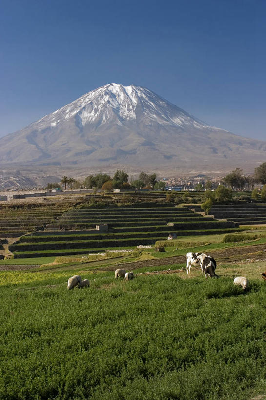 无人,竖图,室外,火山,山,秘鲁,地形,风景,南美,摄影,拉丁美洲,母牛,活火山,彩图