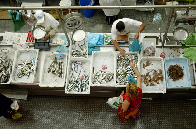 横图,西班牙,欧洲,市场,鱼类,摄影,西欧,南欧,伊比利亚半岛,加利西亚,彩图