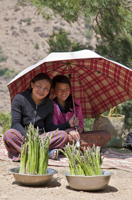 儿童,成年人,两个人,微笑,竖图,室外,白天,购物,快乐,消费,芦笋,蔬菜,不丹,亚洲,集市,市场,首都,阳伞,碗,金融,摄影,清新,贩卖,选购,贸易,东亚文化,健康食物,遮蔽,喜马拉雅山脉,廷布,印度次大陆,年轻女性,女孩,年轻人,彩图