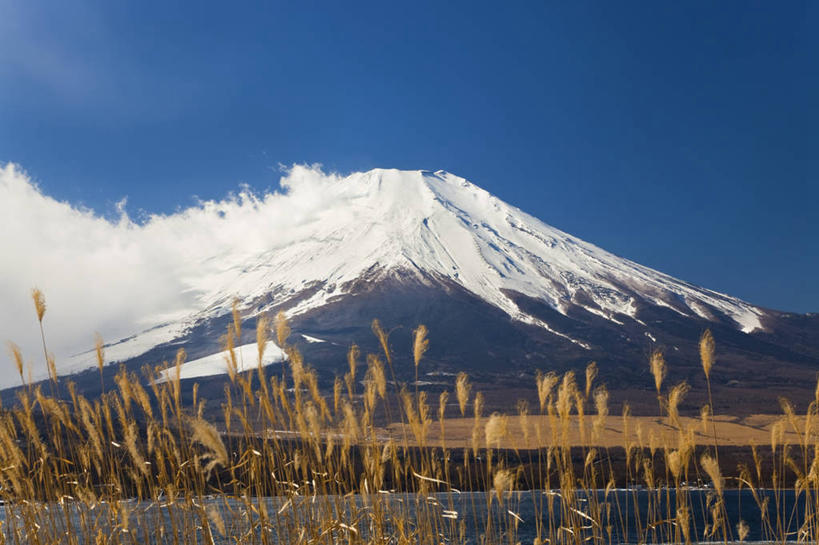 无人,横图,室外,白天,山,雪山,芦苇,富士山,日本,地形,云,风景,摄影,宁静,彩图,旅行