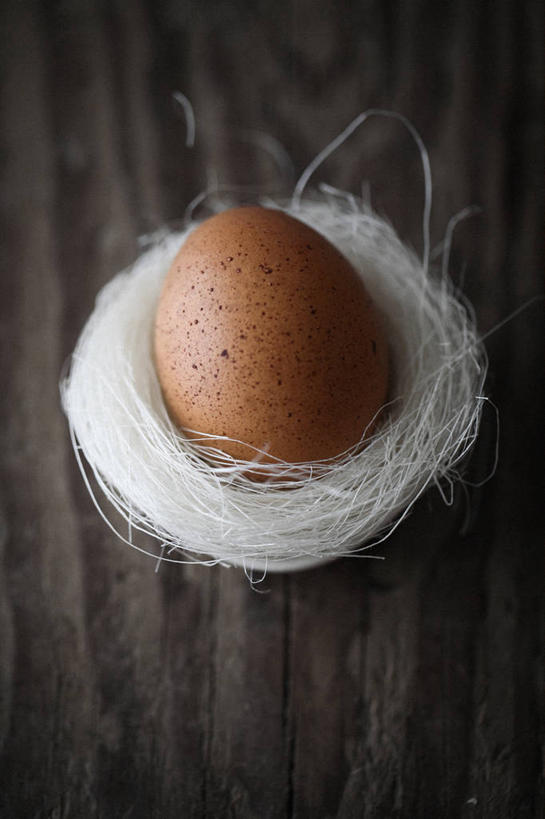 无人,竖图,俯视,静物,复活节,装饰,木制,鸟巢,一个,摄影,单个,简单,纯净,卵,想法,开端,彩图,高角度拍摄,影棚拍摄