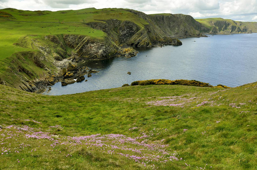 无人,横图,室外,白天,海洋,美景,山,英国,欧洲,地形,海岸线,景观,悬崖,云,苏格兰,草,自然,景色,摄影,宁静,西欧,自然风光,大不列颠,大不列颠及北爱尔兰联合王国,大不列颠及爱尔兰联合王国,苏格兰王国,海岬,彩图,圣阿布斯角,大不列颠王国,大英帝国,联合王国,日不落帝国