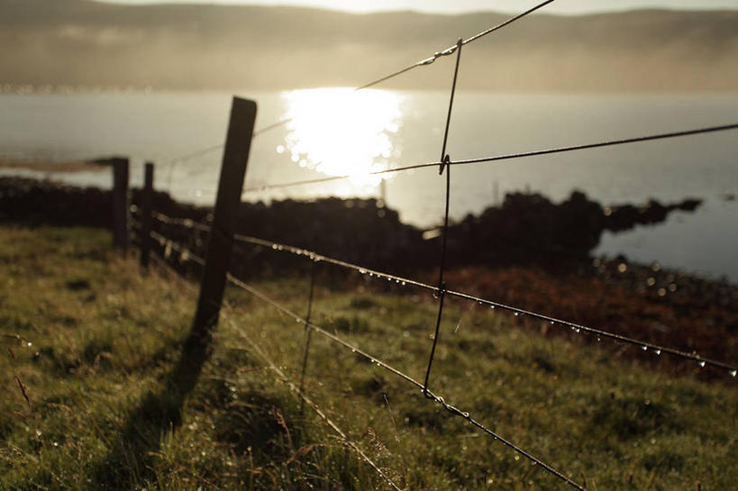 无人,横图,室外,特写,草地,水,英国,反射,篱笆,黎明,苏格兰,草,自然,摄影,保护,宁静,设得兰群岛,彩图